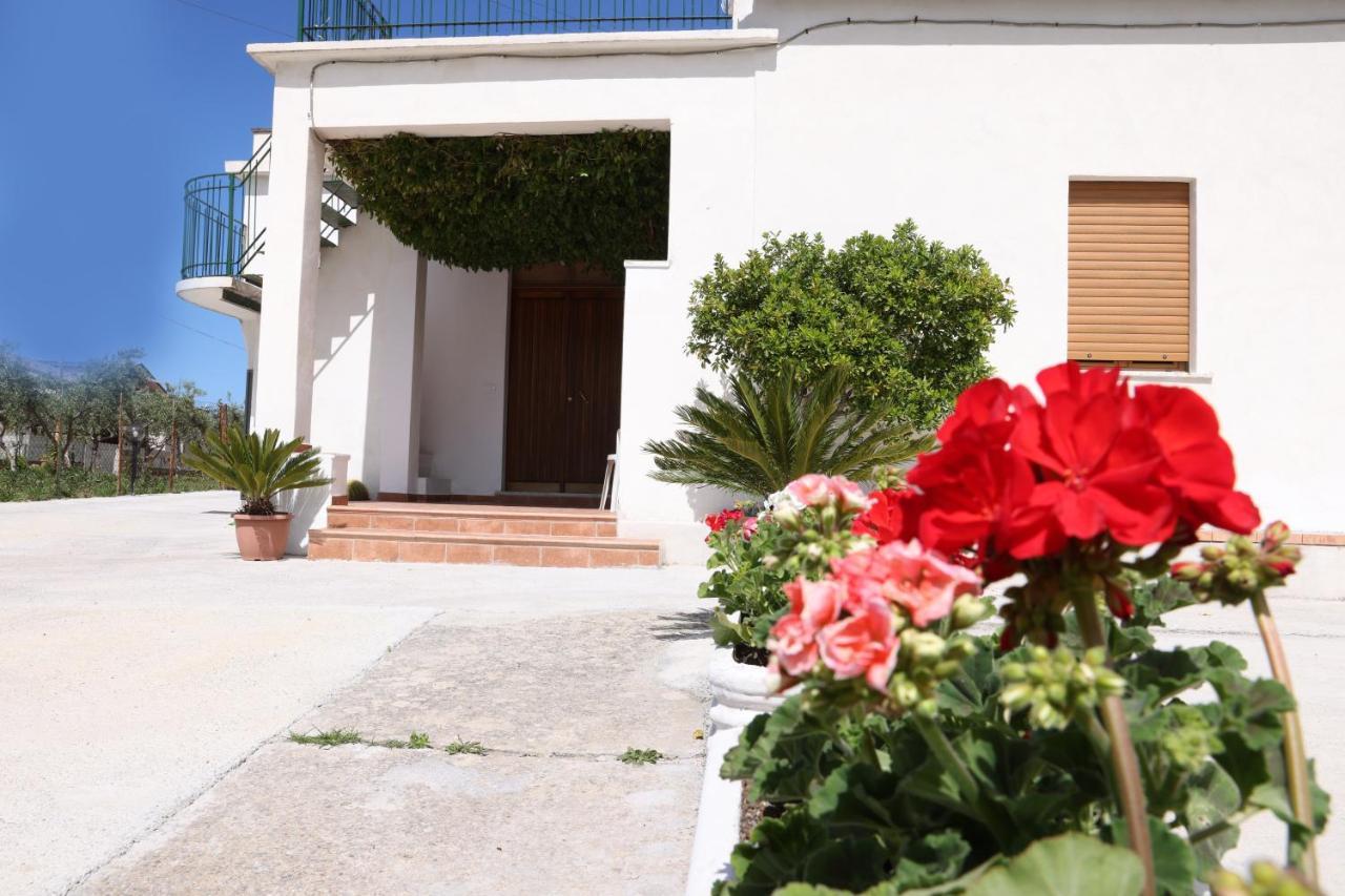 B&B Vannefora San Nicola Arcella Buitenkant foto