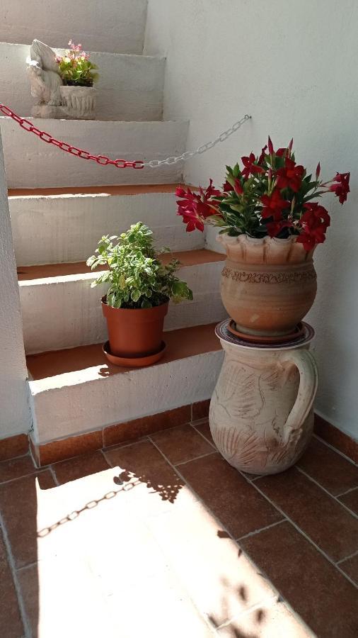 B&B Vannefora San Nicola Arcella Buitenkant foto
